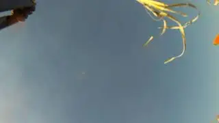 Search and Rescue gone BAD