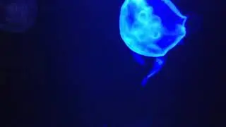 Море