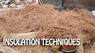 Winterizing my Carnivorous Bog Garden