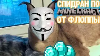 ШЛЕПА СПИДРАНИТ МАЙНКРАФТ