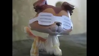 4 LpsSkittles
