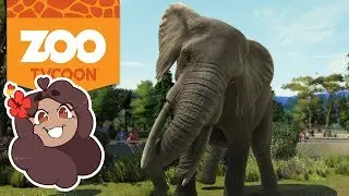 Bumpy Rides for Our Elephants?! 🦁 Zoo Tycoon: Ultimate Animal Collection • #12