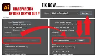 Fix Adobe Illustrator Transparency Custom Preset Options Greyed Out Inactive Problem Easily