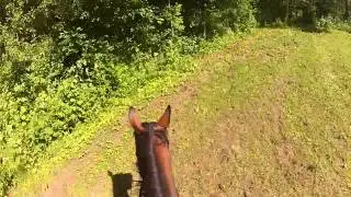 Hoppning med Fairy Tale 20150711