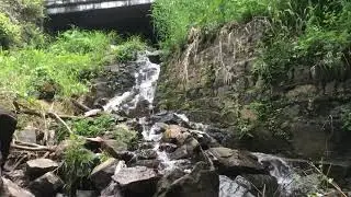 Yercaud water fall | chilli ❄️❄️❄️⛄️⛄️ | CuckooKitchen & vlogs