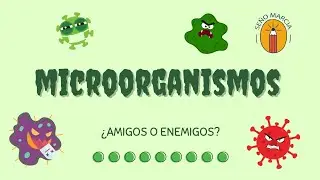 Microorganismos: bacterias y hongos microscópicos/ Virus  🔬