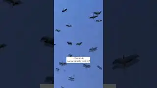 Zihnine Söz Verebilir Misin?