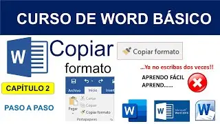 BASIC WORD COURSE | Chapter 2 | COPY FORMAT