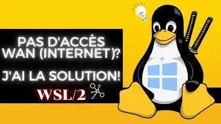 RESOLVE NO INTERNET ACCESS WITH WSL2!