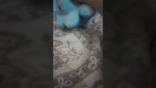 bruh