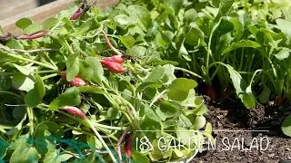 18. Garden Salad