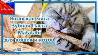 Toothpaste Matatabi for cats and cats | Japanese mint for cats #85