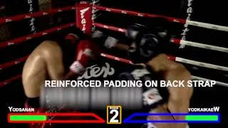 Diagonal View Sparring Head Guard