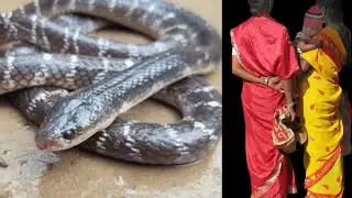 सोते समय करैत सांप ने मां बेटी को काट लिया #kraitbite   #snake