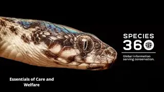 Care and Welfare Webinar – Session 2