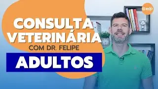 218 | PASSO A PASSO DE CONSULTA NO VETERINÁRIO -  CACHORRO E GATO ADULTO