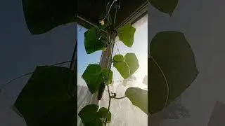 🥒🥒А мне всё мало 🤣? 🥒🥒