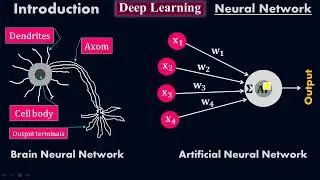 Comparison of Brain biological neural network and artificial neural network - Deep Learning - Moein