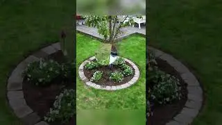Клумба вокруг дерева 🌳