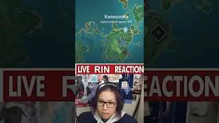 One of the most interesting Genshin Impact Accounts I’ve ever seen.