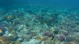 Шарм эль шейх пляж El Fanar