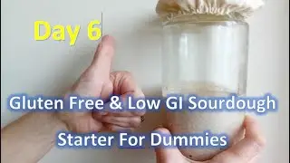 👍 Day Six 👍 How To Make A Gluten Free Low GI Sourdough Starter For Dummies #teemars