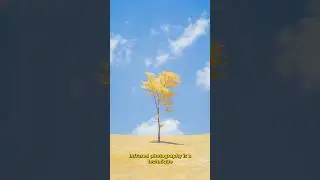 INFRARED PHOTOGRAPHY In 60 Seconds!!! 