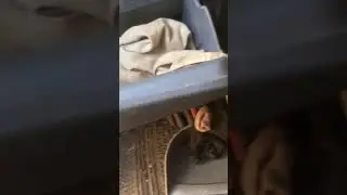 ford transit pollen/cabin filter location
