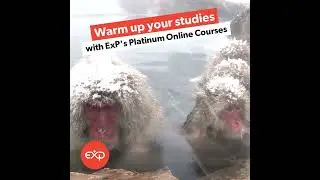 Platinum ACCA & Premium CIMA