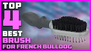 Best Brush for French Bulldog in 2026 - Top 4 Review | Product Benefits Smoothening, Detangle