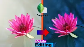 Lotus flower Blue Color Tone Editing Tutorial | Snapseed Editing tips | Lotus flower | MŚ Editz