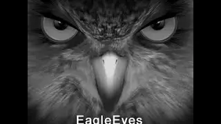 Visualizar DVR Avtech con app EagleEyes