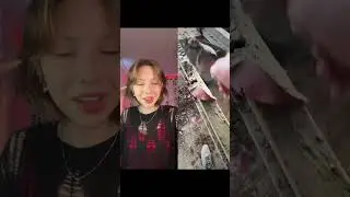 ВЫПАЛ ПОРОЛОН ИЗ ЛИФЧ… 