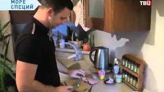 МОРЕ СПЕЦИЙ