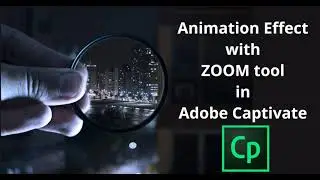 Animation Effect with ZOOM tool in Adobe Captivate