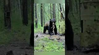 ПЕРЕКУС ПО-БЫСТРОМУ. 