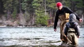 Family Lines Header video - 2014