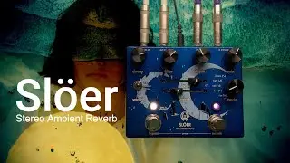 Walrus Audio - Slöer Your Life With Ambient Reverb.