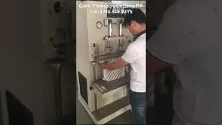 Вакуумный упаковщик DZQ-600L/S  Бескамерный вертикального типа