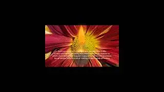 Unstagnate Your Heart ❤️ By Carol Ann Henderson