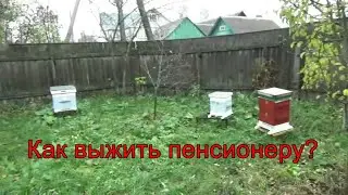 Как выжить пенсионеру?
