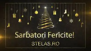 Stelas ro