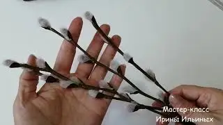 Верба своими руками