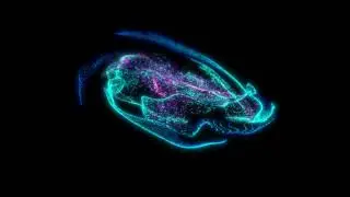 Nebula particle animation