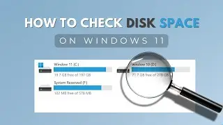 How to Check Disk Space in Windows 11 | Simple Steps to Free Up Storage