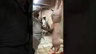 JOB AT SLAUGHTER HOUSE/khenlex vlog