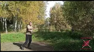 Контактные элементы (Зосима Сорокин)