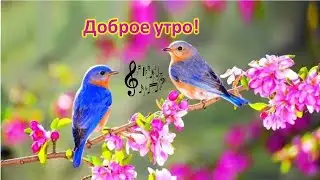Доброе утро! Хорошего дня. Нежная, музыкальная открытка. Пожелания для друзей. 