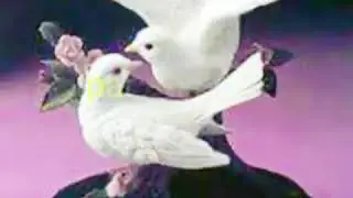 Ikaw ang iibigin