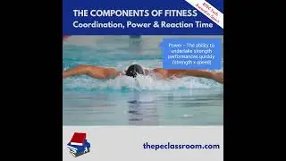 BTEC The Components of Fitness P6 Coordination, Power & Reaction Time